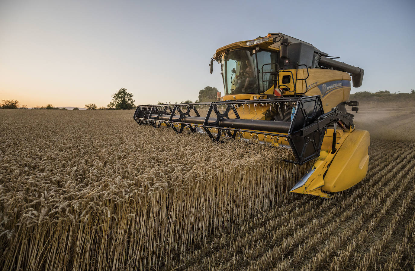 La cosechadora 'engulle' las espigas a su paso