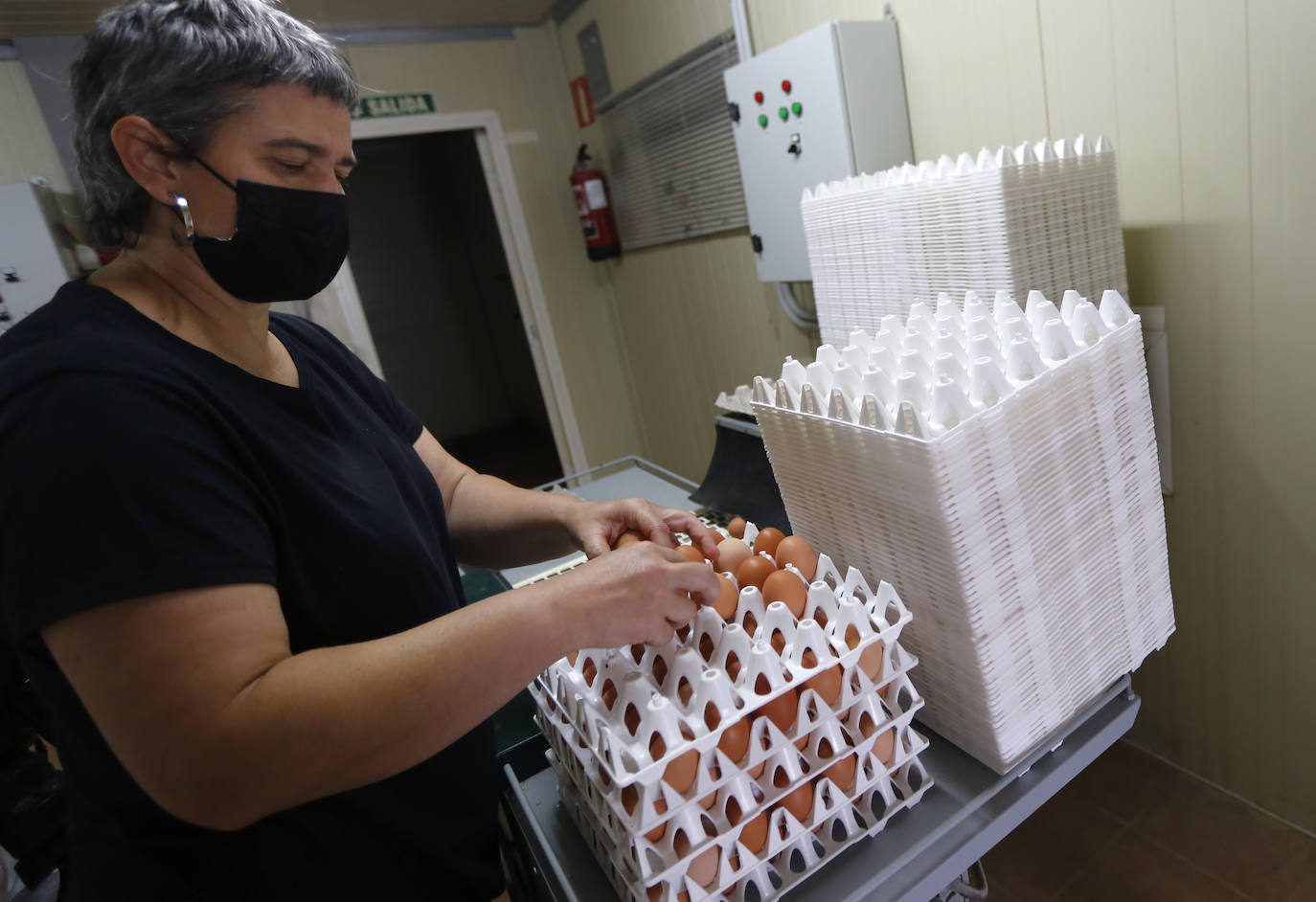 Fotos: Así es el recorrido del huevo ecológico desde el campo hasta nuestro plato