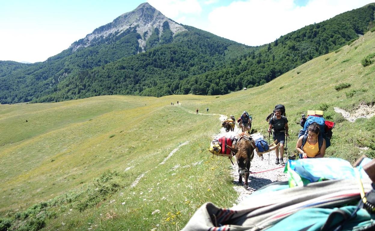 Caminatas a paso de burro por la Llanada Alavesa