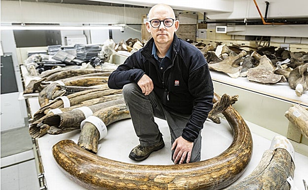 Matthew Wooller con defensas de mamut de la colección del Museo del Norte. 