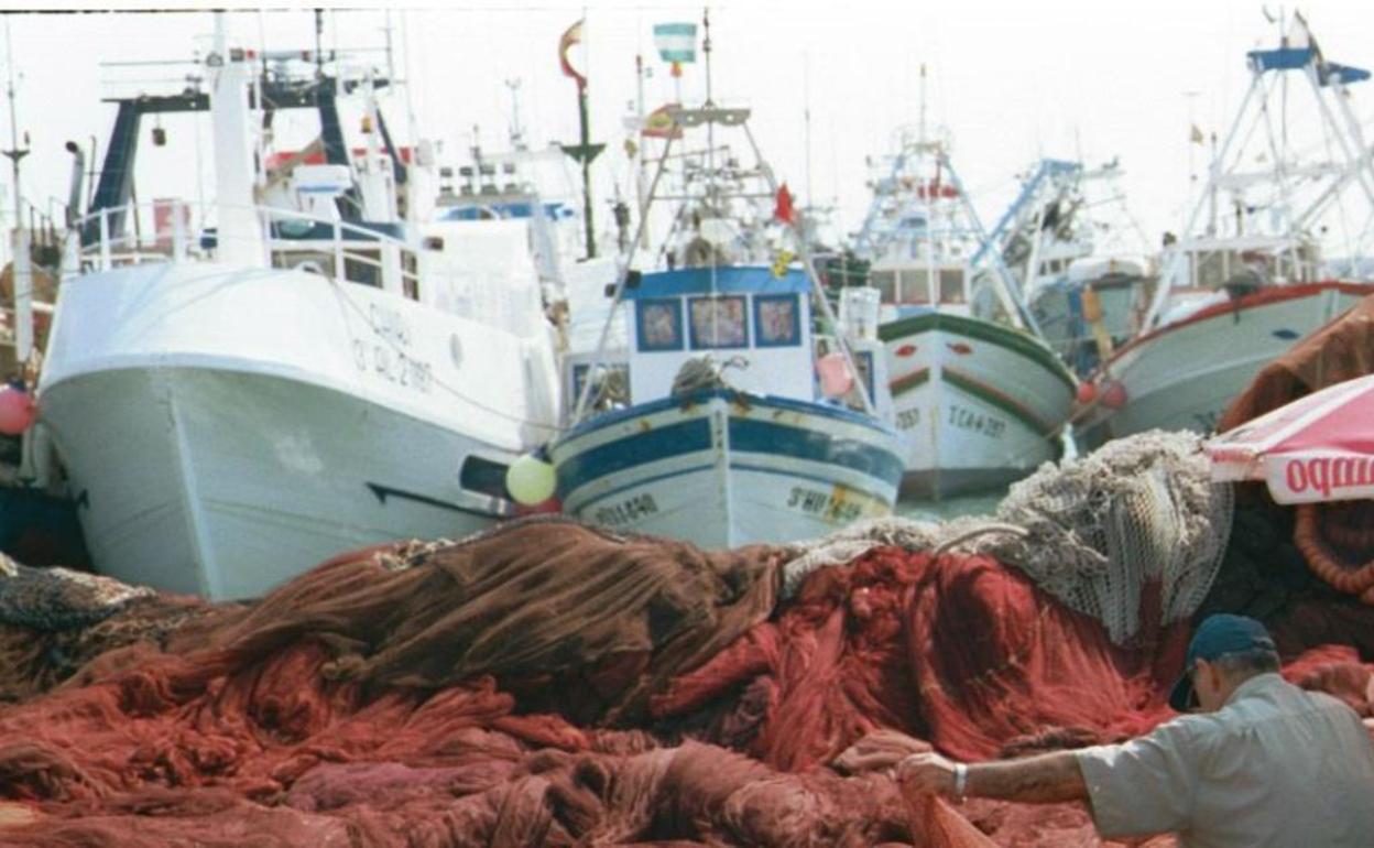 Piden mayor control sobre las descargas de los arrastreros