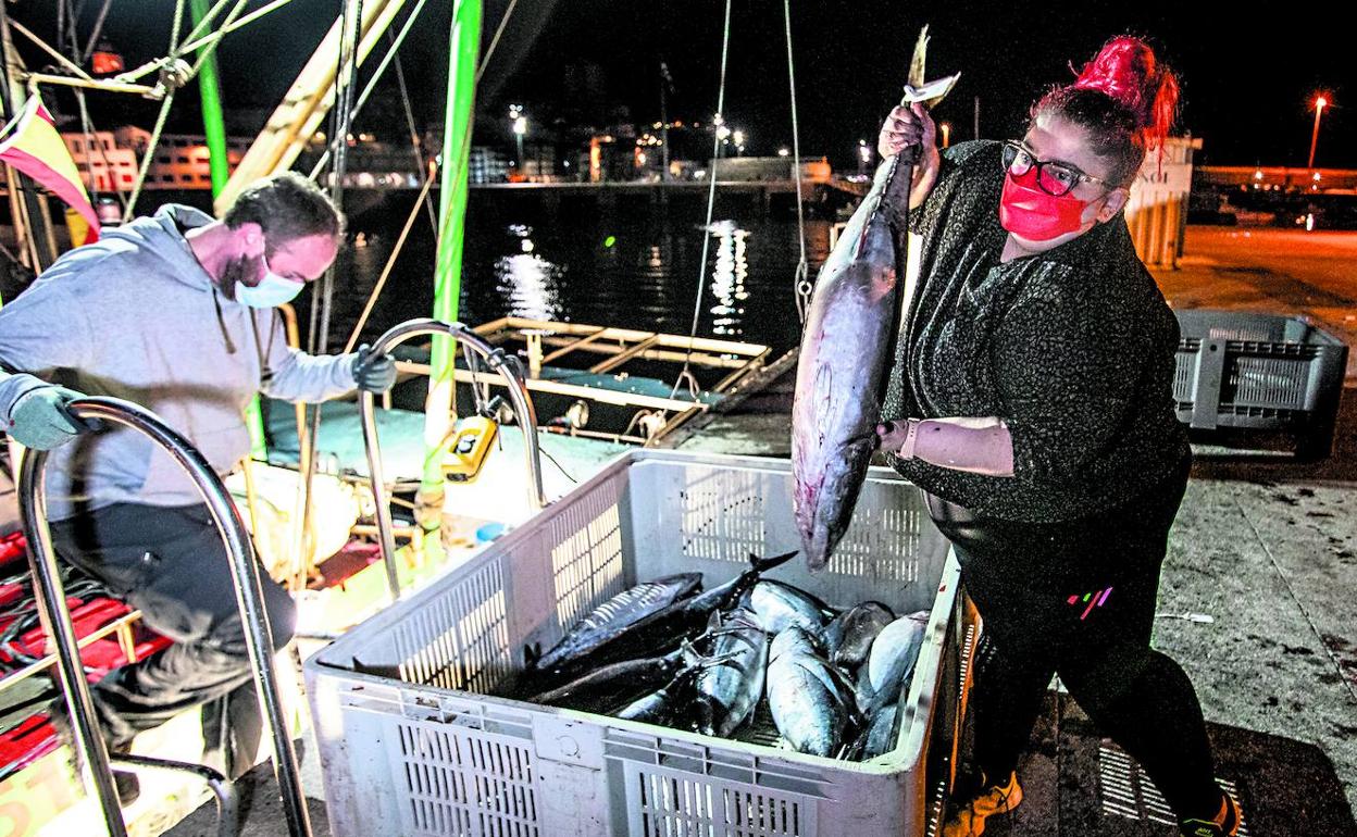 Operarios de la lonja de Bermeo preparan las capturas recién llegadas a puerto. 