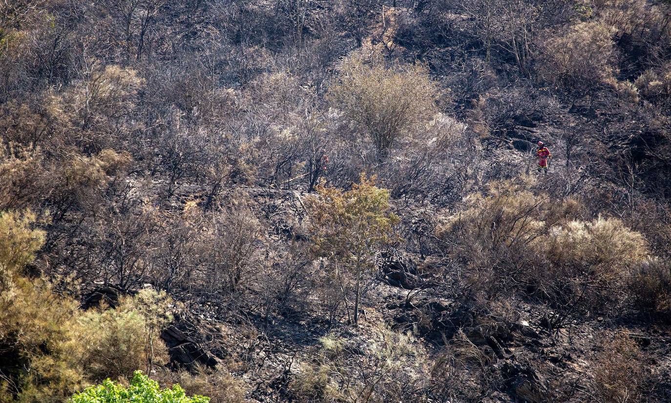 Fotos: Incendio forestal en Ezcaray, en imágenes
