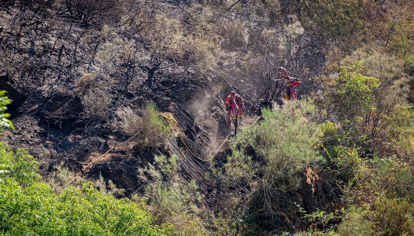 Fotos: Incendio forestal en Ezcaray, en imágenes