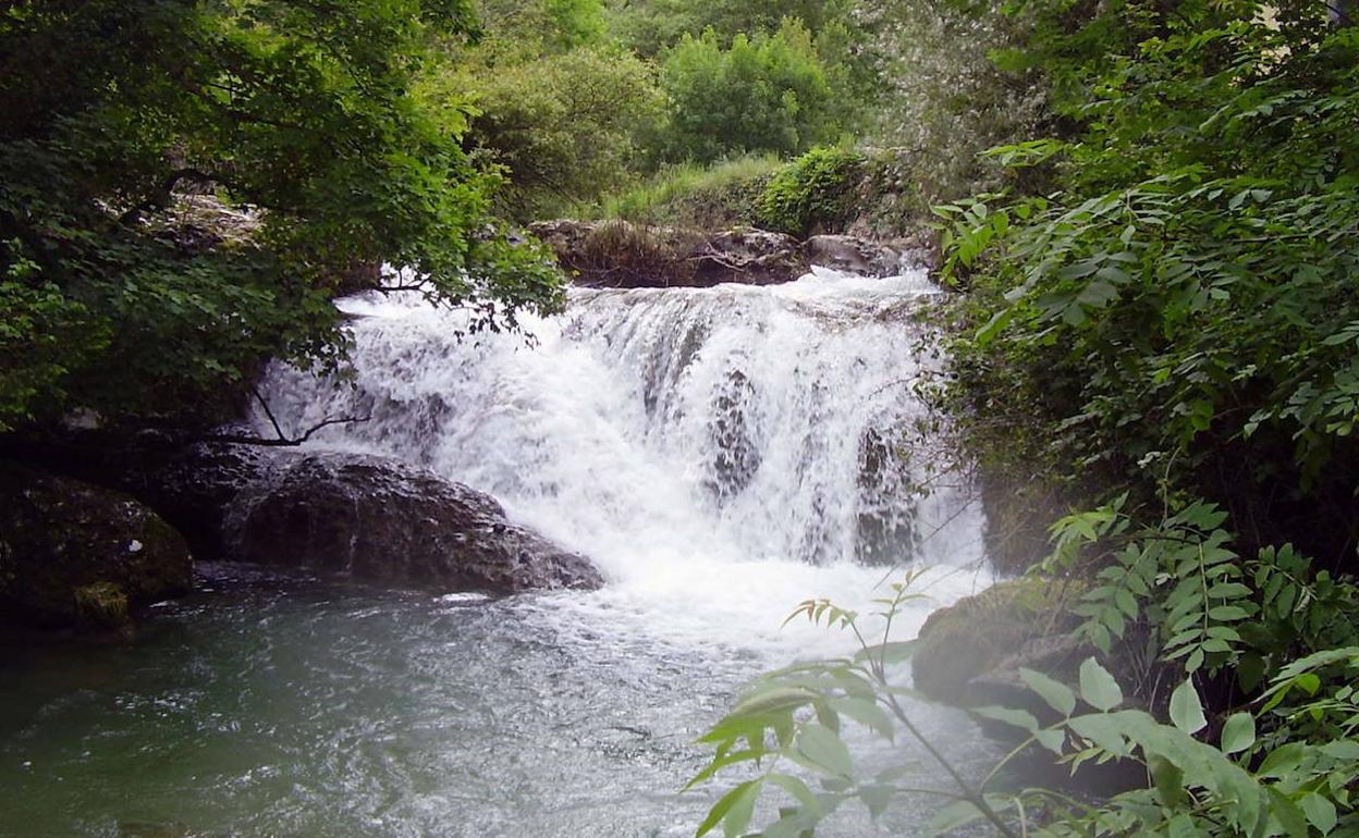 Álava solo tiene declaradas dos reservas naturales fluviales