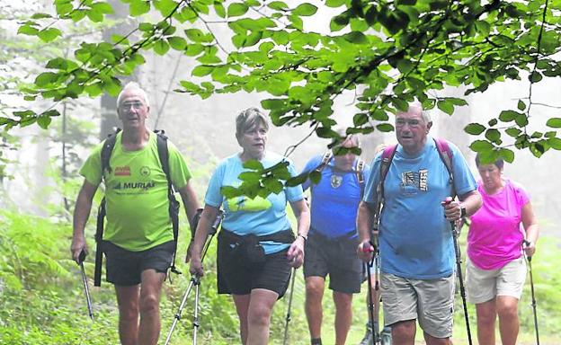 Un grupo de senderistas en plena caminata. 