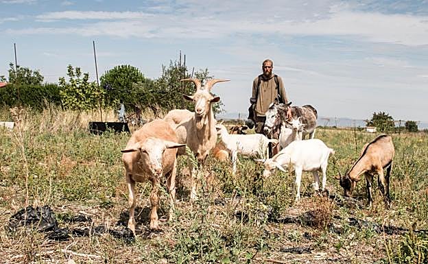 Pierre con su «familia» en Santo Domingo de La Calzada.