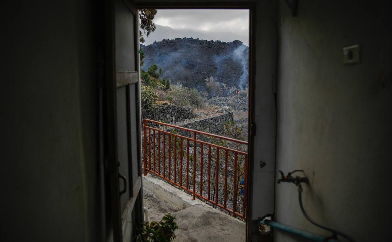 «He bajado las cortinas, ya no quiero verlo más»