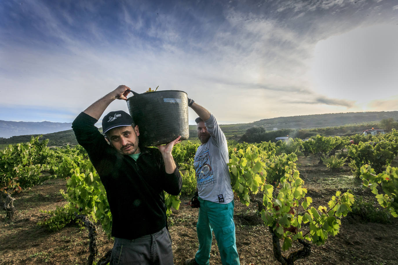 Un temporero ayuda al otro a ponerse el capazo lleno de uvas al hombro