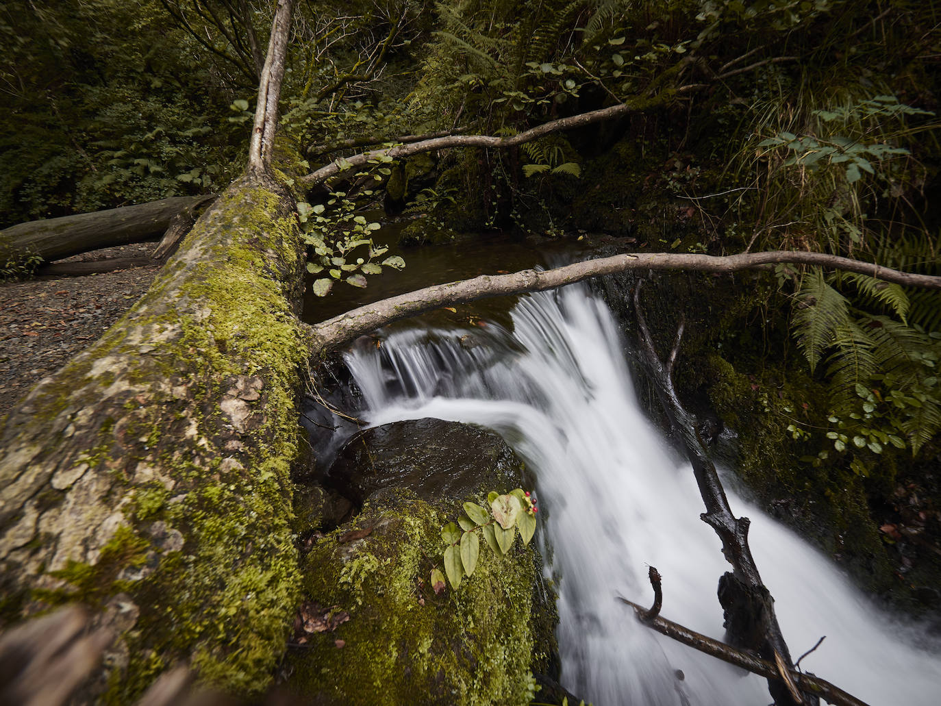 Fotos: Un viaje mágico al valle del Baztán en otoño