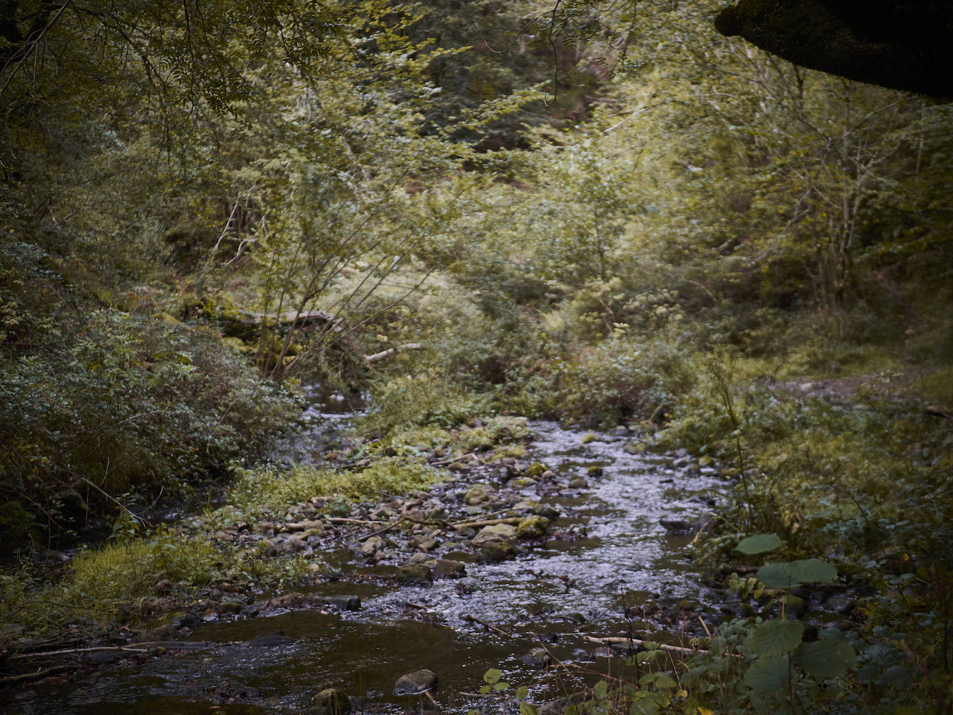 Fotos: Un viaje mágico al valle del Baztán en otoño