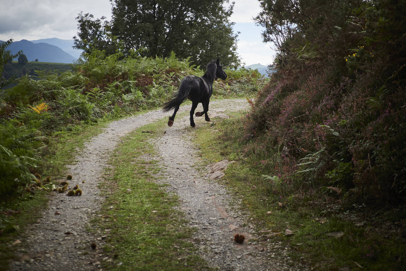 Fotos: Un viaje mágico al valle del Baztán en otoño