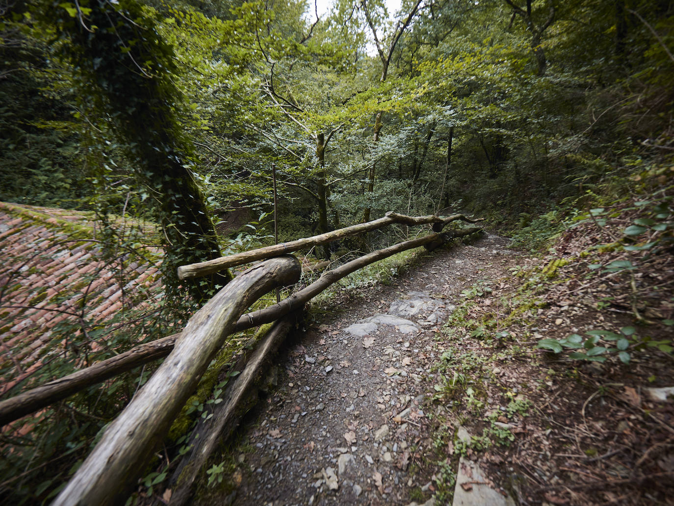 Fotos: Un viaje mágico al valle del Baztán en otoño