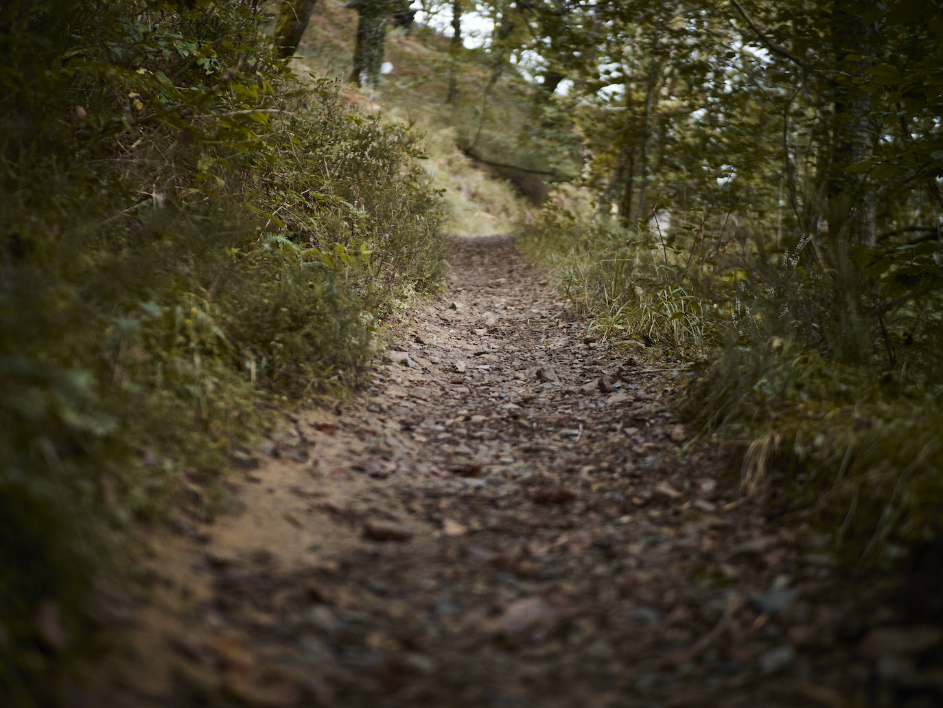 Fotos: Un viaje mágico al valle del Baztán en otoño