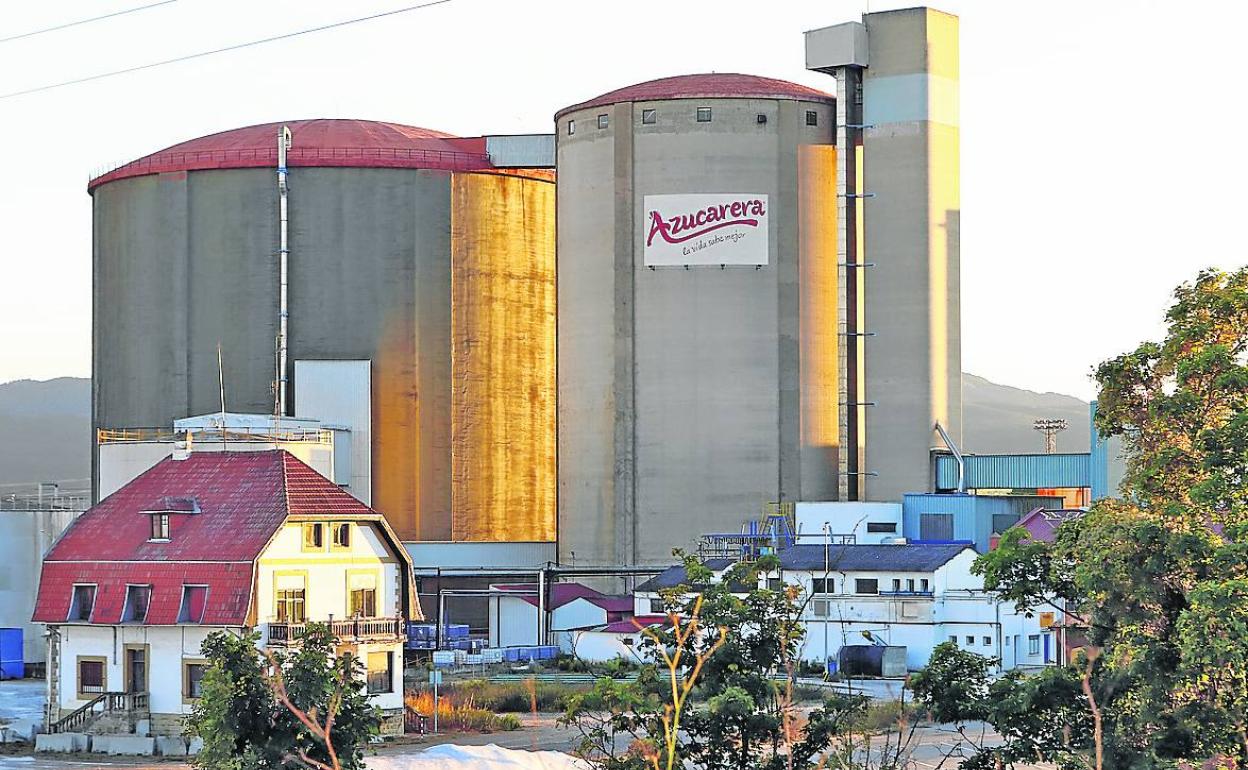Azucarera generará 71 empleos para la campaña remolachera de Miranda