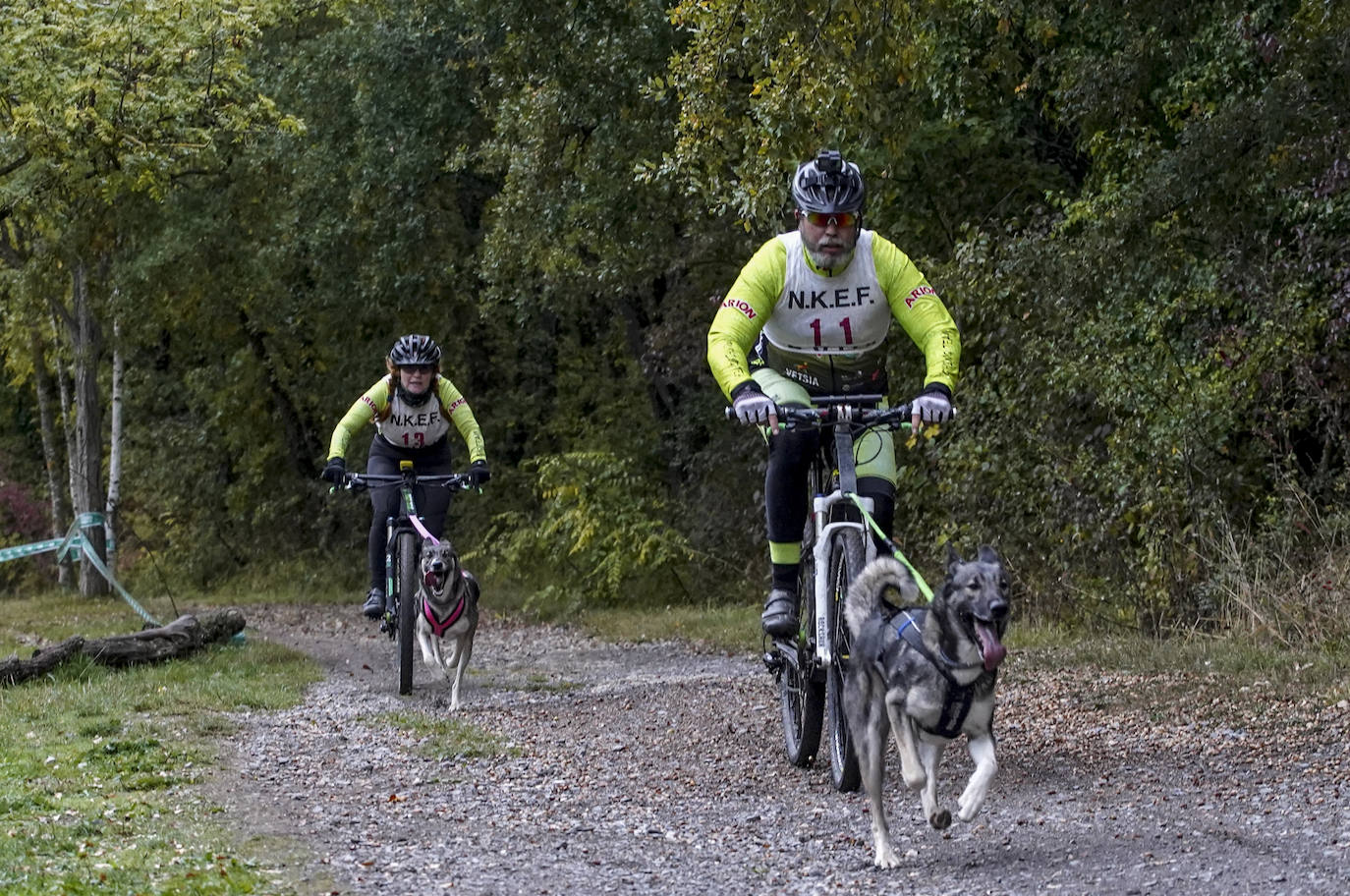 Fotos: El mushing toma el bosque de Armentia
