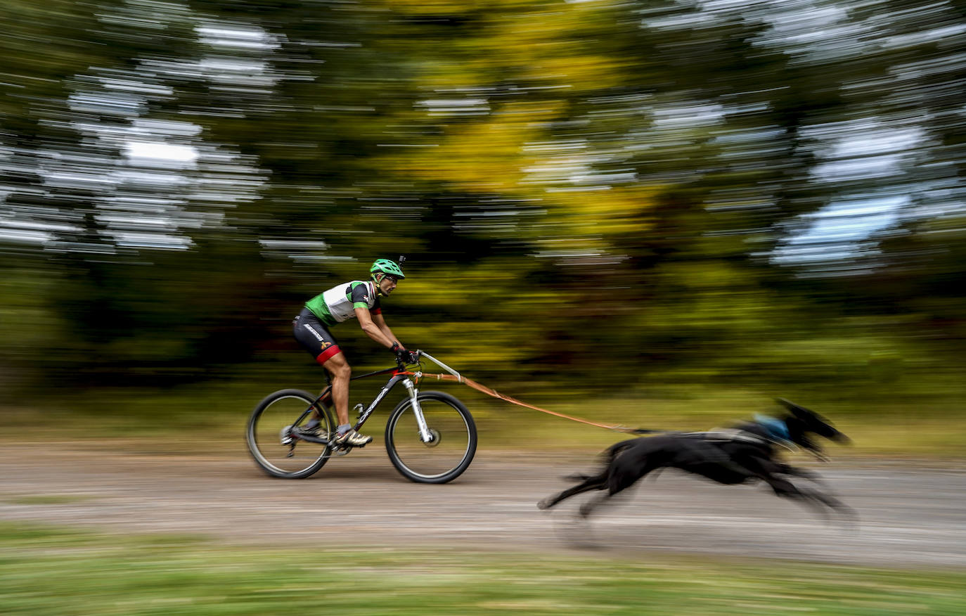 Fotos: El mushing toma el bosque de Armentia