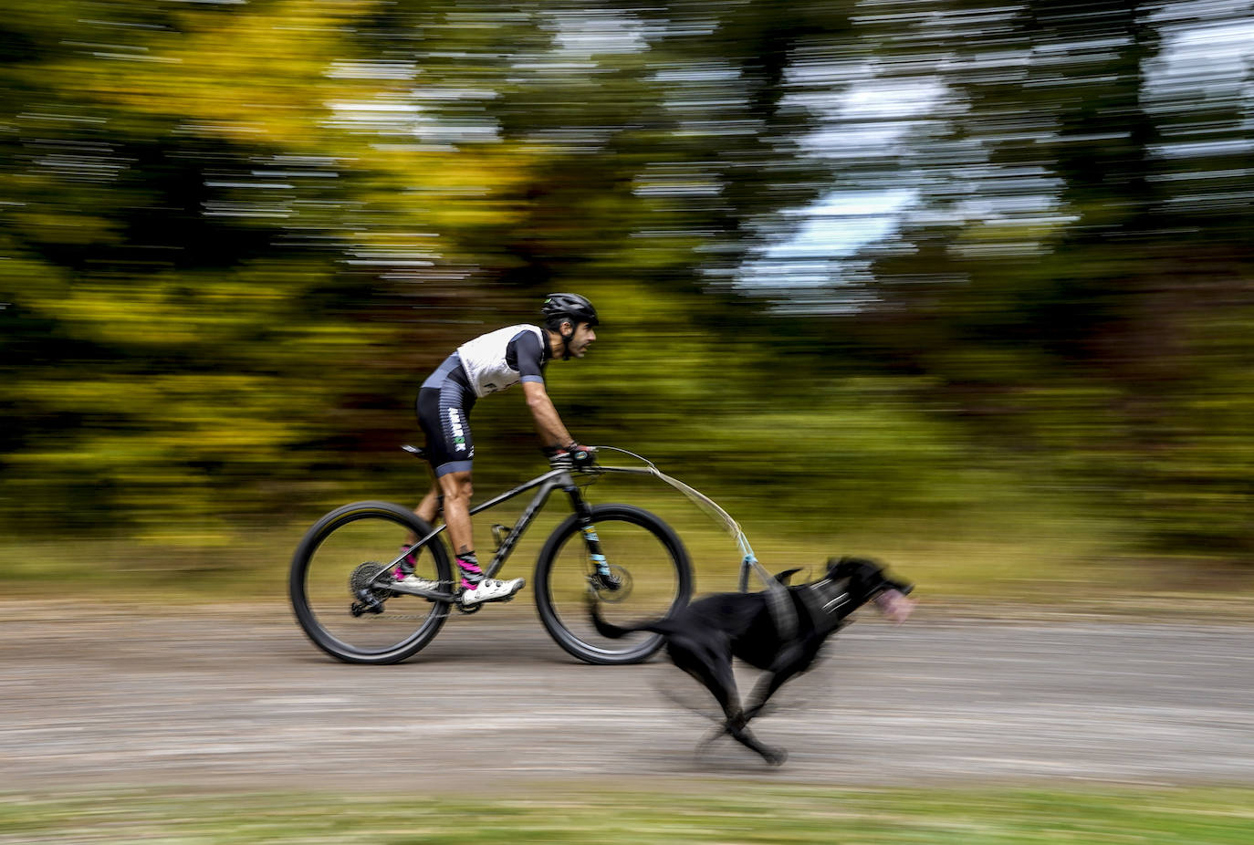 Fotos: El mushing toma el bosque de Armentia
