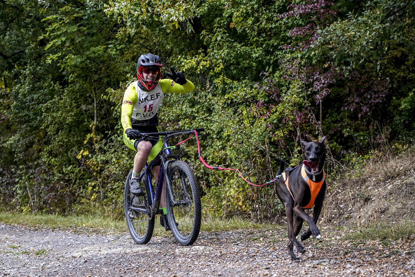 Fotos: El mushing toma el bosque de Armentia