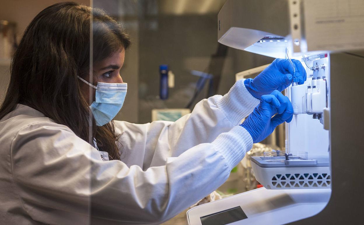 El campus de Álava busca especializarse en impresión 3D de medicamentos