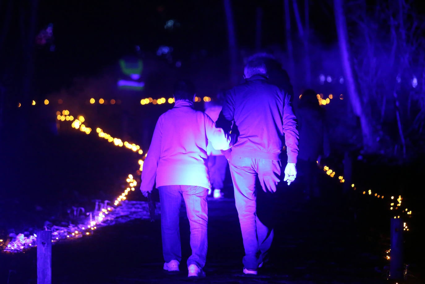 Fotos: Un lugar para soñar dentro de Leioa