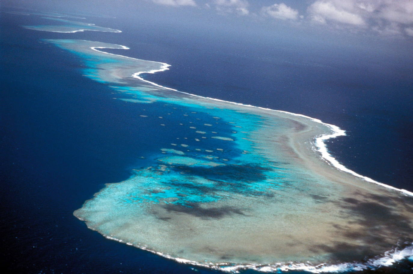 Gran Barrera de Coral de Australia.