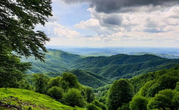 Los bosques rumanos son de los pocos vírgenes que aún quedan en Europa. 