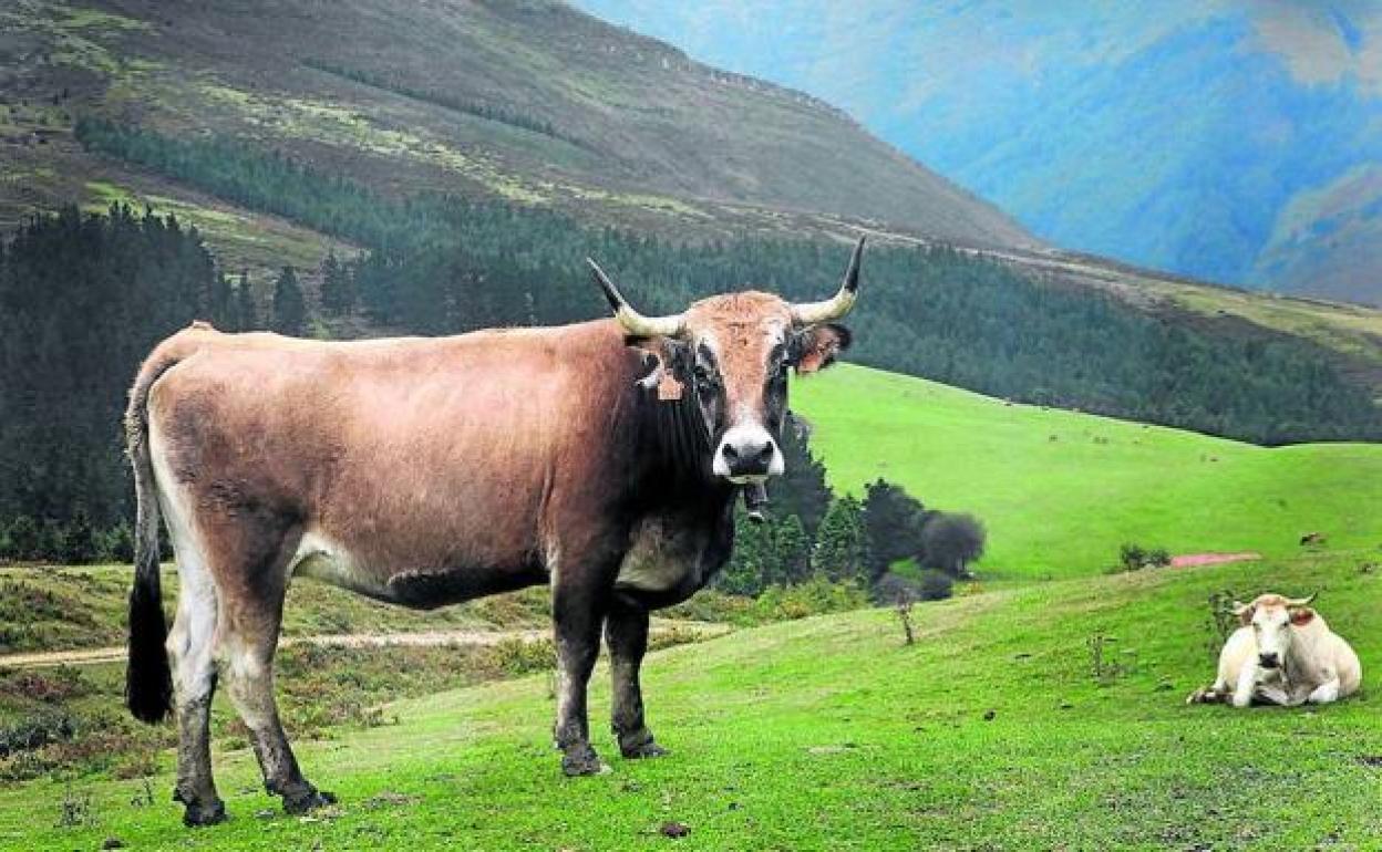 Adaptación y mitigación