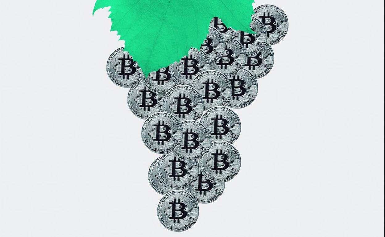 Comprender el bitcoin