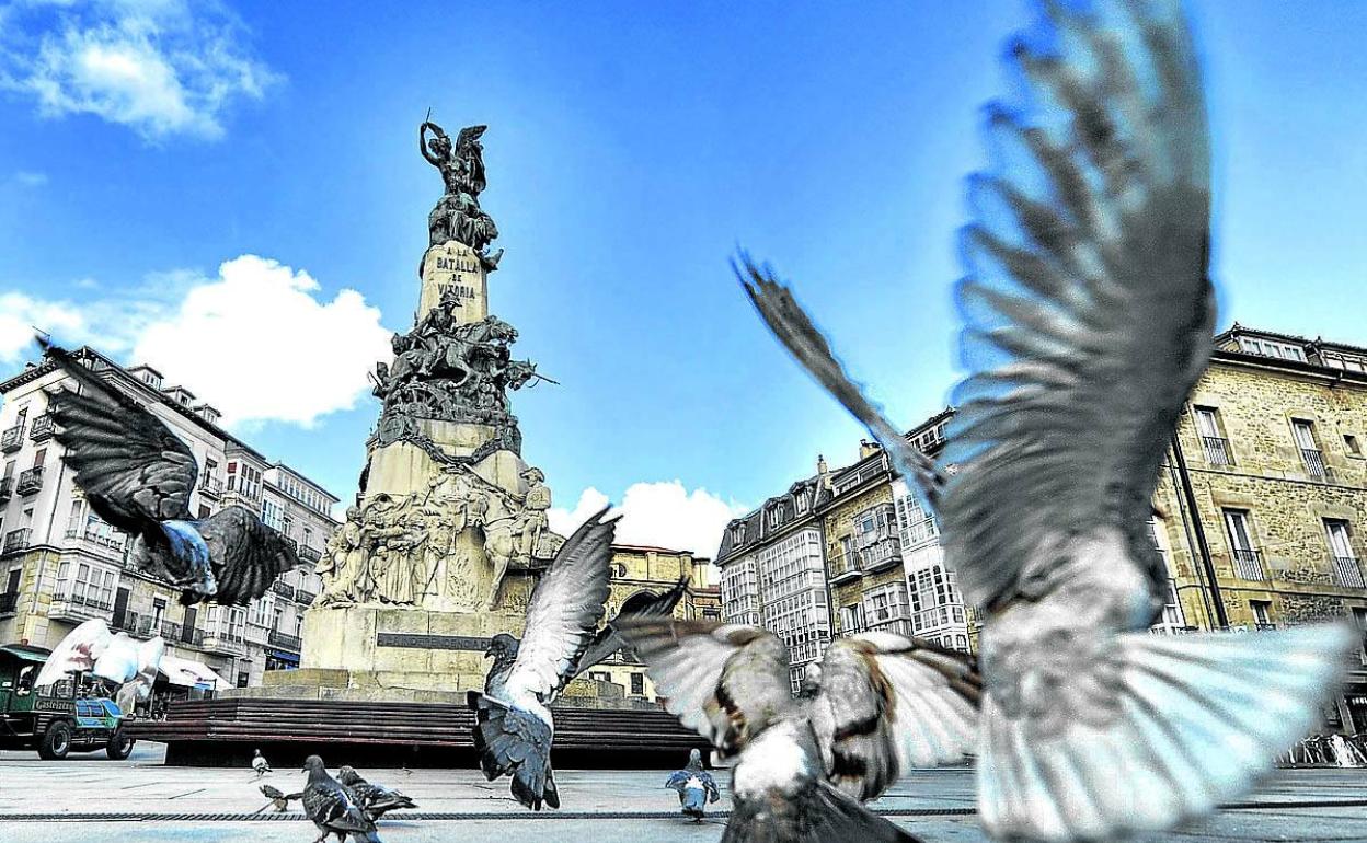 Un grupo de palomas revolotea por la plaza de la Virgen Blanca. 
