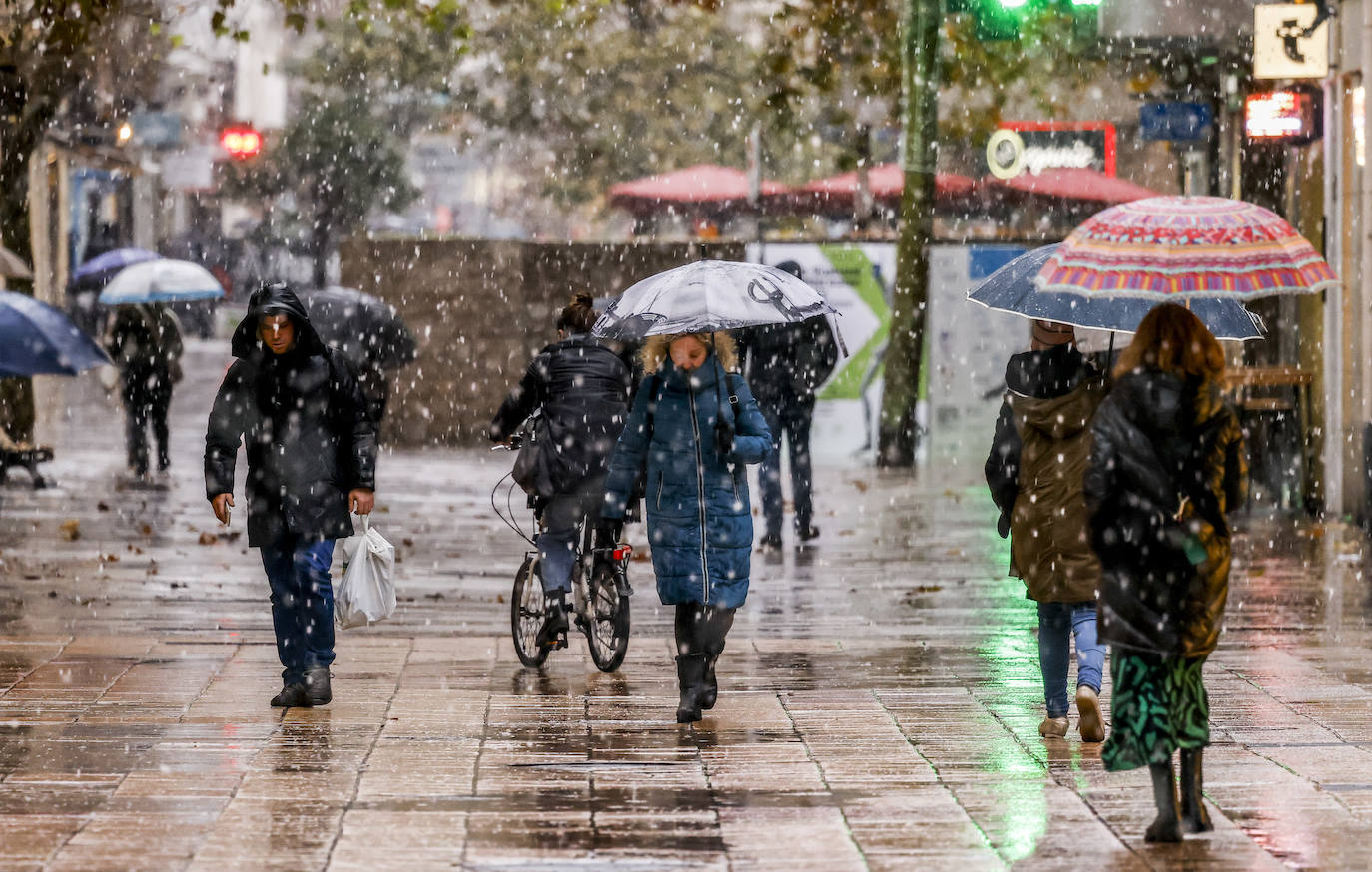 Fotos: Los primeros copos de nieve caen sobre Vitoria