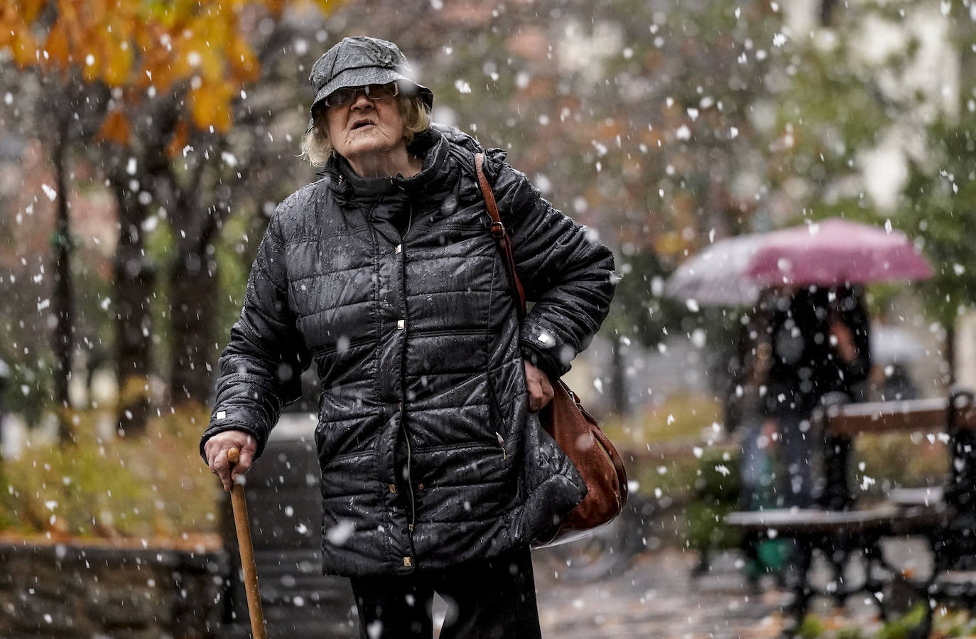 Fotos: Los primeros copos de nieve caen sobre Vitoria