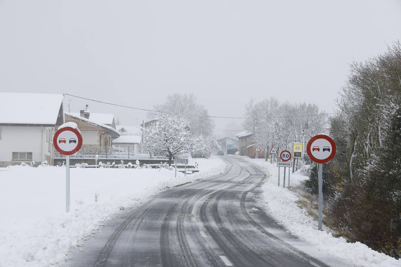 Fotos: La nieve complica el domingo en Vitoria y Álava