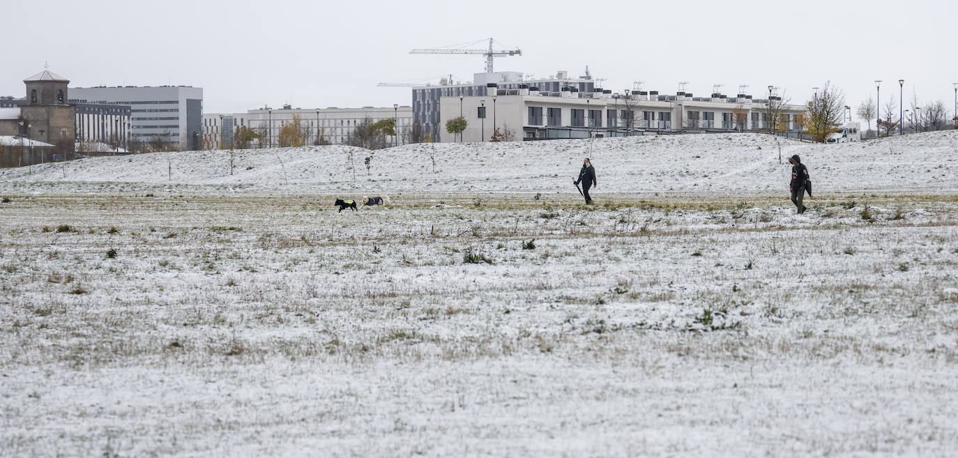 Fotos: La nieve complica el domingo en Vitoria y Álava