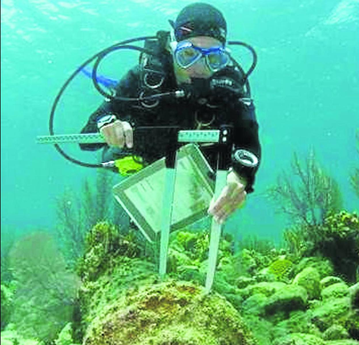 Buzos inspeccionan los cañones de la nave. 