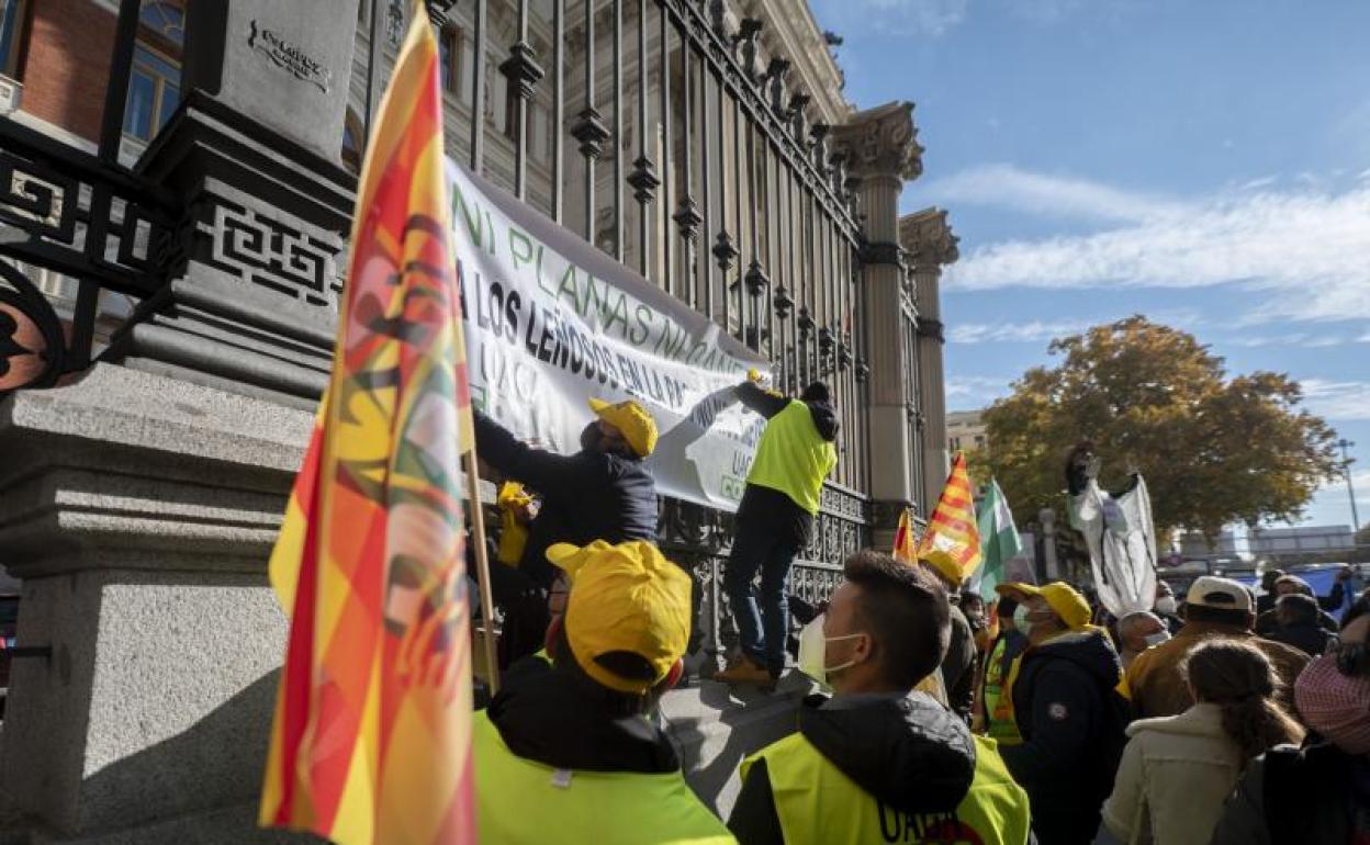 Concentración de agricultores frente al Ministerio de Agricultura en Madrid