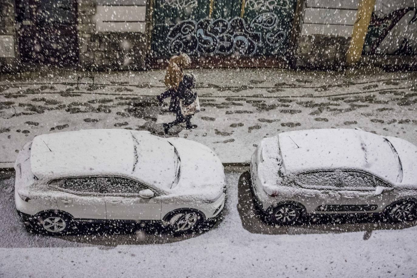 Fotos: La nieve cubre Álava de blanco