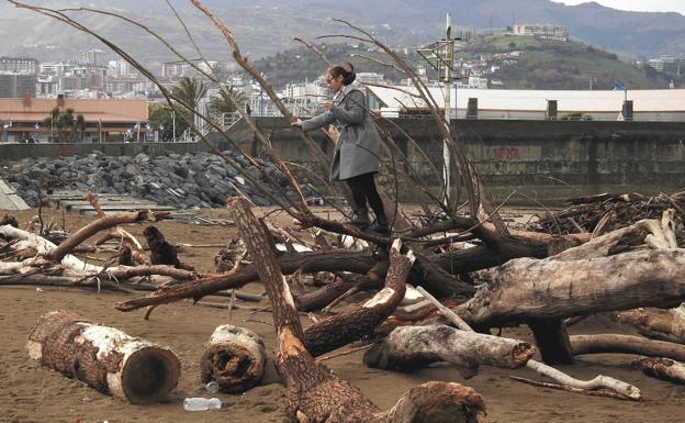 Restos de arbolado en la playa de Ereaga, en Getxo.