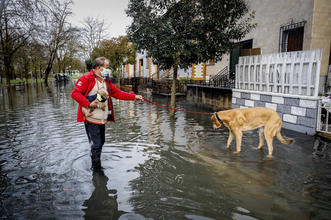 Fotos: El temporal en Álava, en imágenes