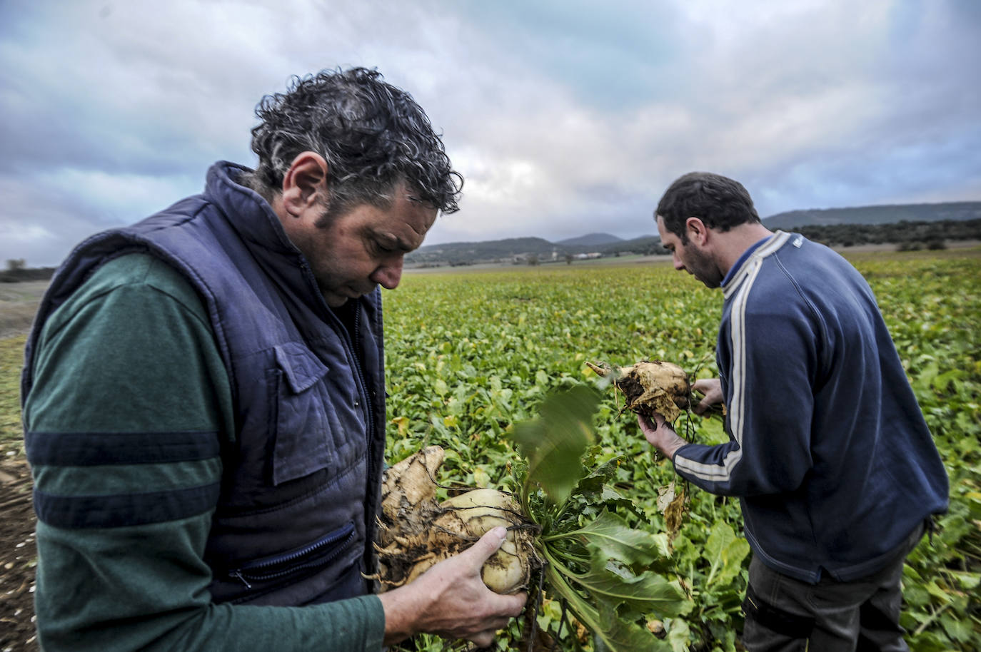 Fotos: El fin del año más incierto para el campo alavés