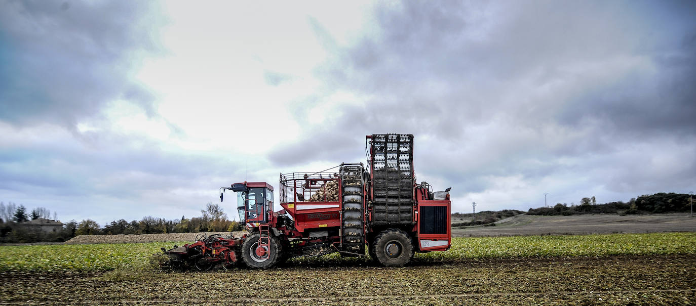 Fotos: El fin del año más incierto para el campo alavés