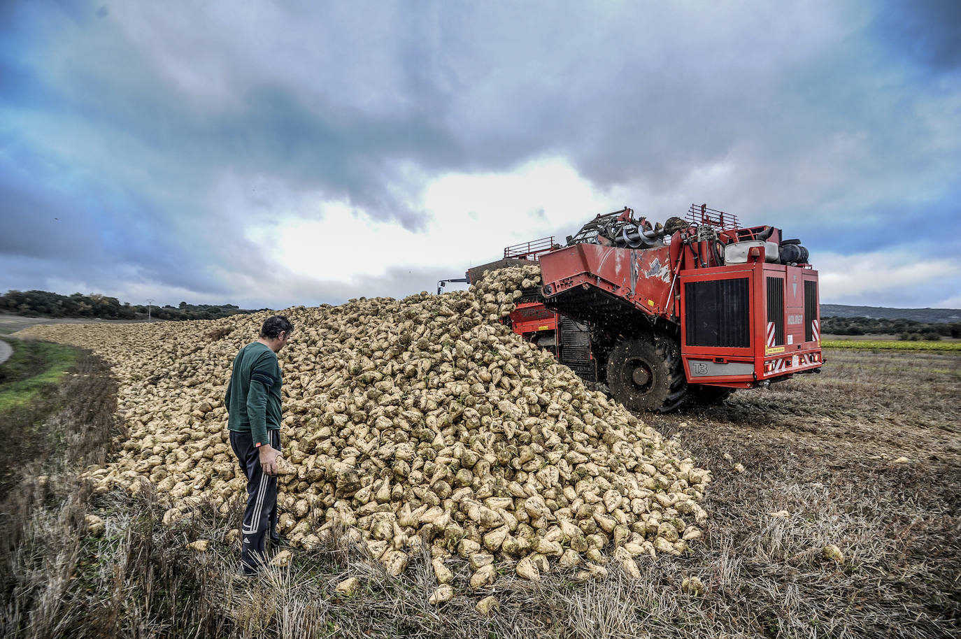 Fotos: El fin del año más incierto para el campo alavés