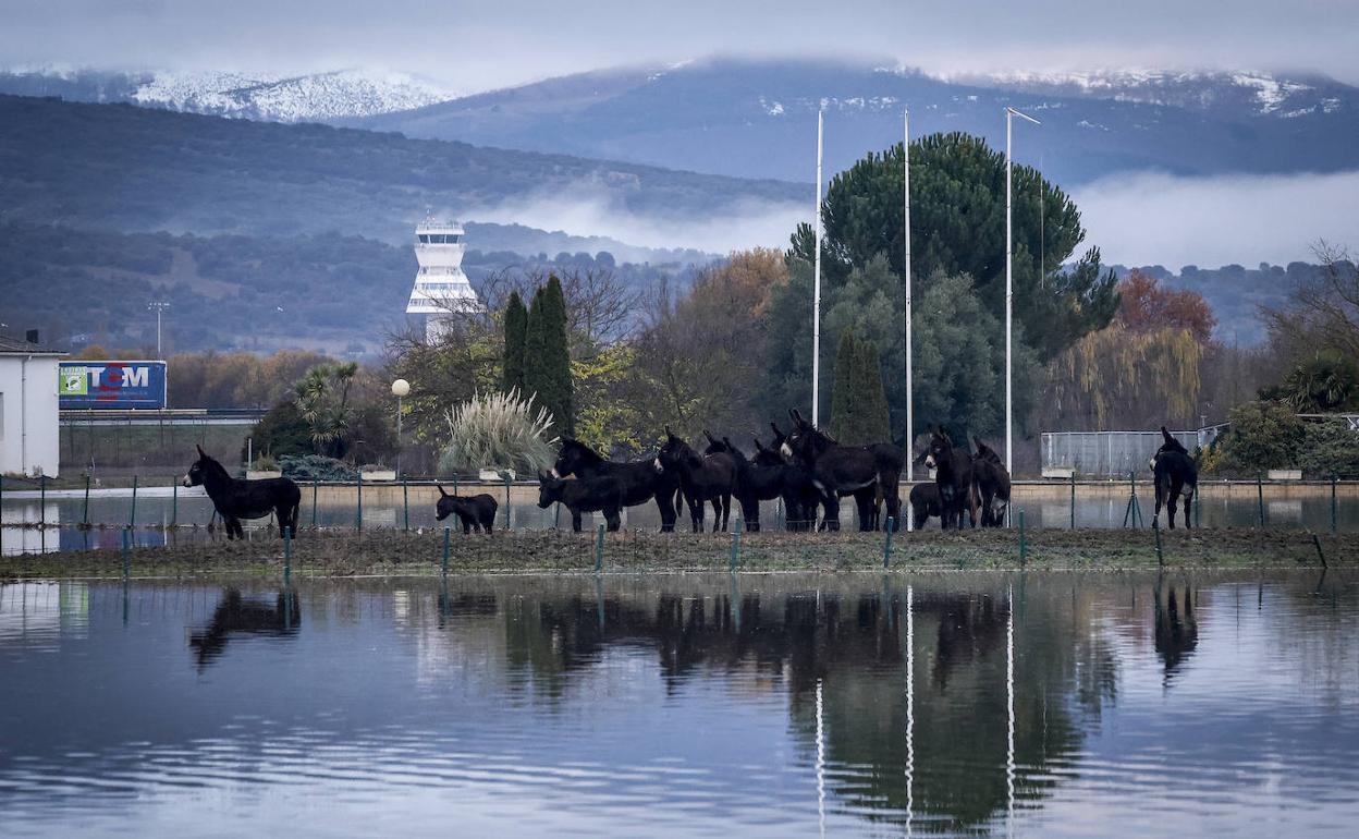 Imagen de Asteguieta con la torre de control de Foronda de fondo.