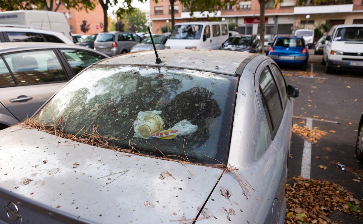 DGT | Multas de tráfico: La sorprendente multa de la DGT por no lavar el coche