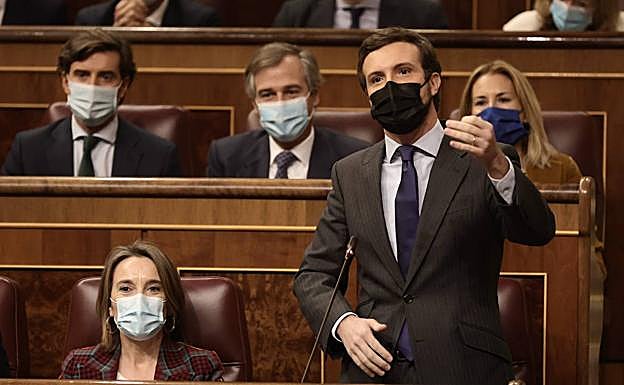 El líder del PP, Pablo Casado, en el Congreso. 