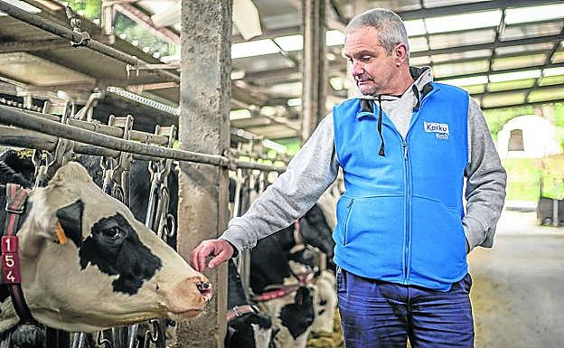 Félix Aras, junto a sus vacas productoras en la granja El Molino.