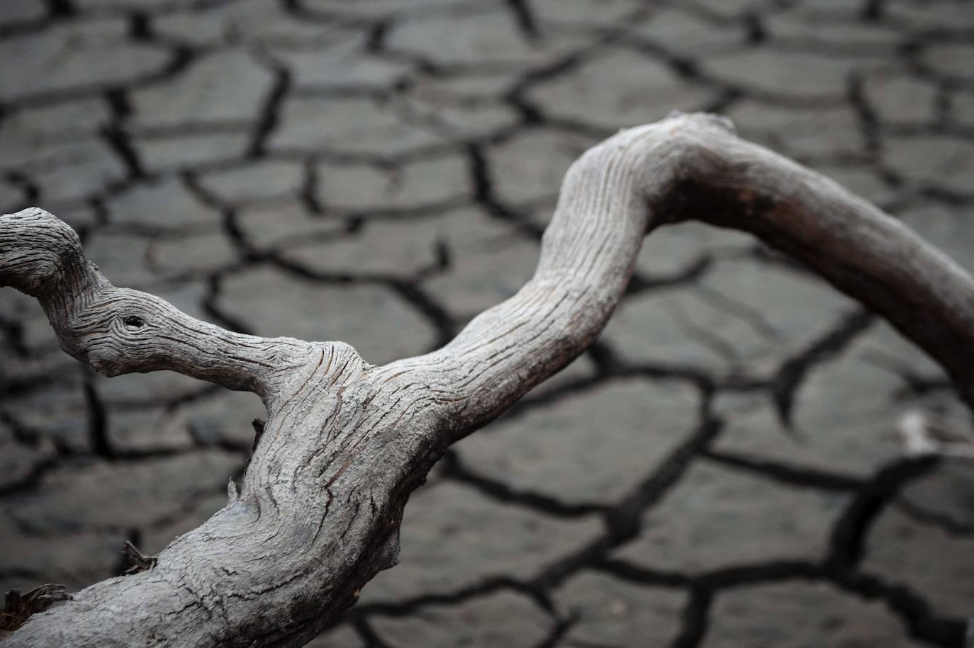 Fotos: El pueblo gallego que emerge de las aguas