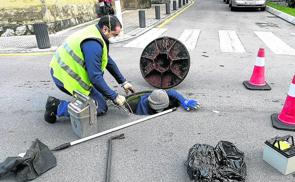 La proliferación de ratas ha hecho que numerosos municipios utilicen sistemas de control informático para atajar su propagación. 