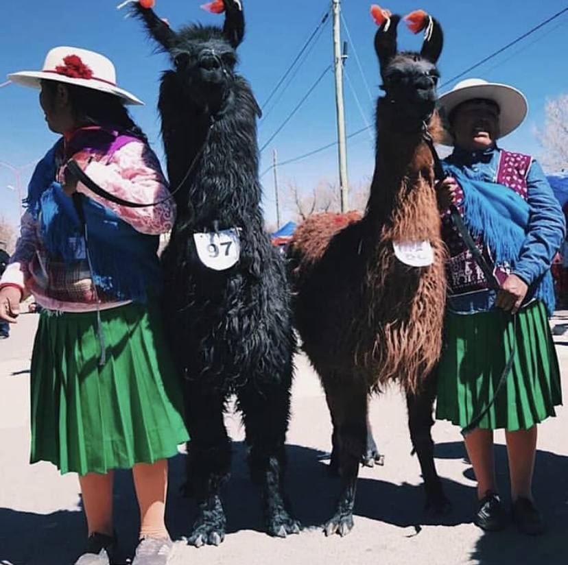 Fotos: Una madre y un hijo abren en el Casco Viejo una tienda de alfombras creadas con el corazón en Argentina