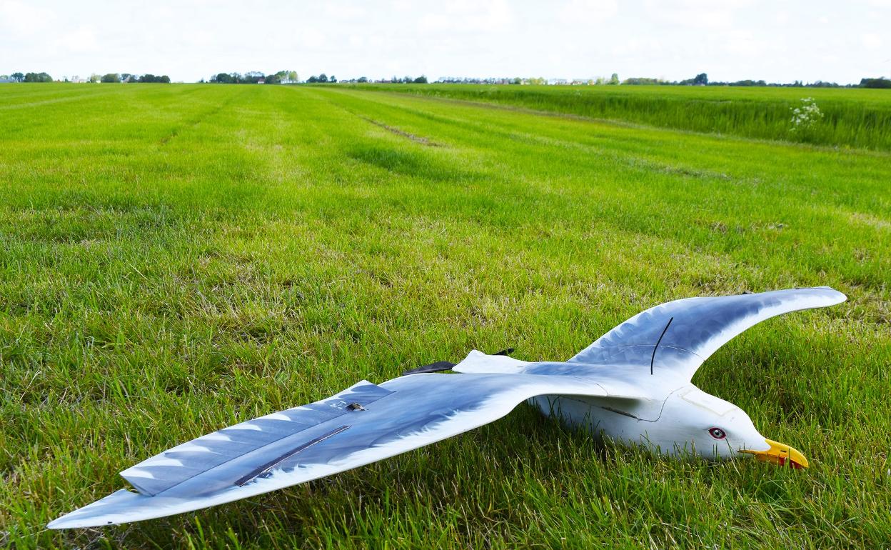 Dron en forma online de avion